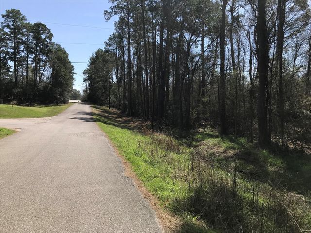 580 Parkview Drive, Onalaska, TX 77360