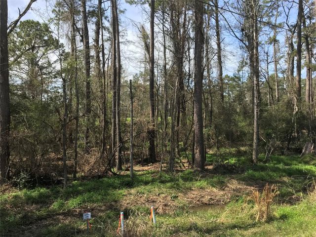 580 Parkview Drive, Onalaska, TX 77360