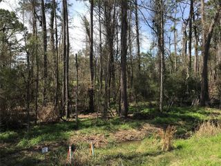 580 Parkview Drive, Onalaska, TX 77360