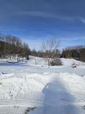 1535 Yeckley Road, Hastings, MI 49058