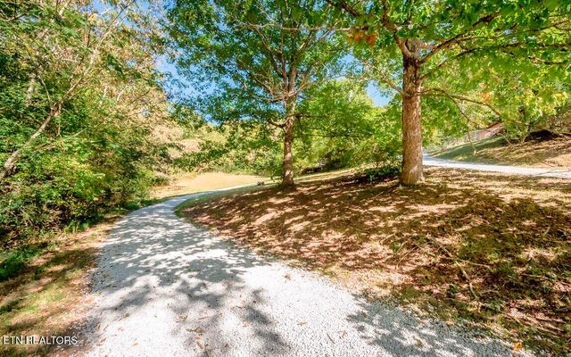 566 Old Spencer Rd. - 28 Acres, Pikeville, TN 37367