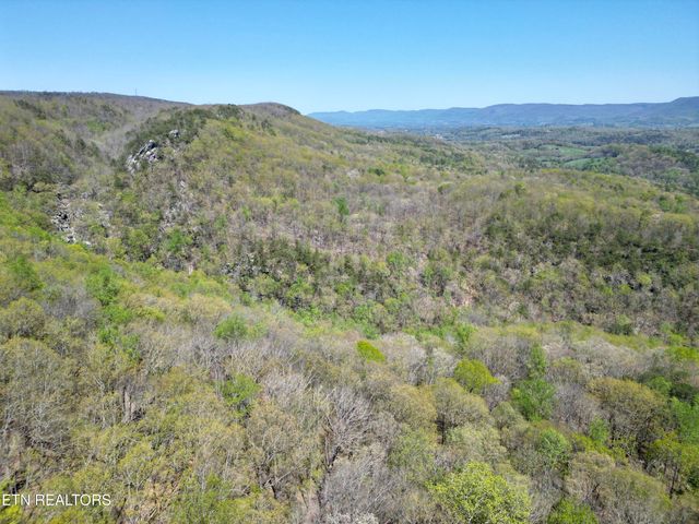 566 Old Spencer Rd. - 28 Acres, Pikeville, TN 37367