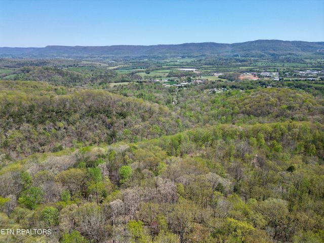 566 Old Spencer Rd. - 28 Acres, Pikeville, TN 37367