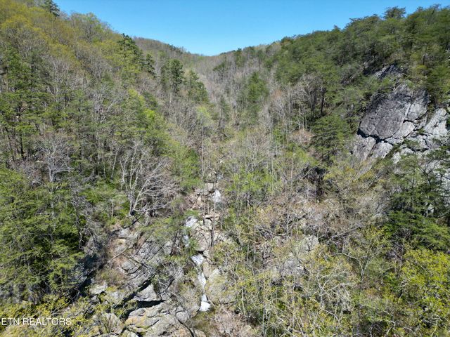 566 Old Spencer Rd. - 28 Acres, Pikeville, TN 37367