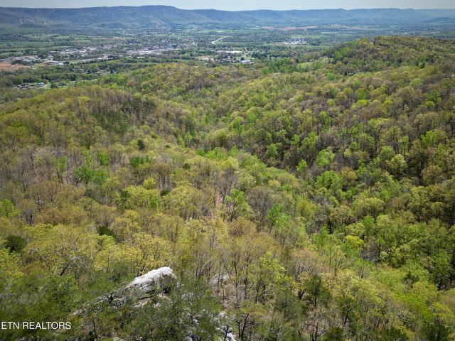 566 Old Spencer Rd. - 28 Acres, Pikeville, TN 37367