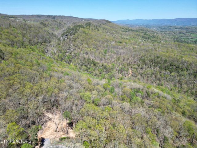 566 Old Spencer Rd. - 28 Acres, Pikeville, TN 37367