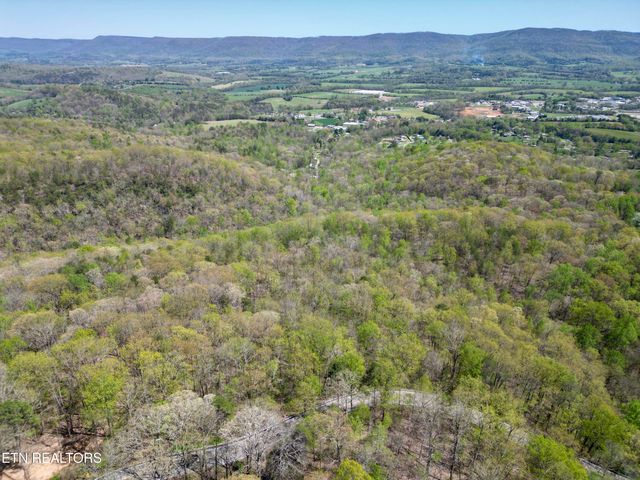566 Old Spencer Rd. - 28 Acres, Pikeville, TN 37367