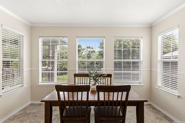 17174 Irongate Rail, San Antonio, TX 78247