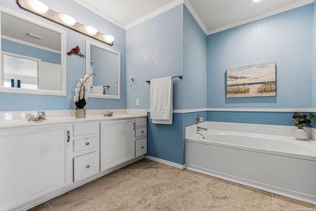 17174 Irongate Rail, San Antonio, TX 78247