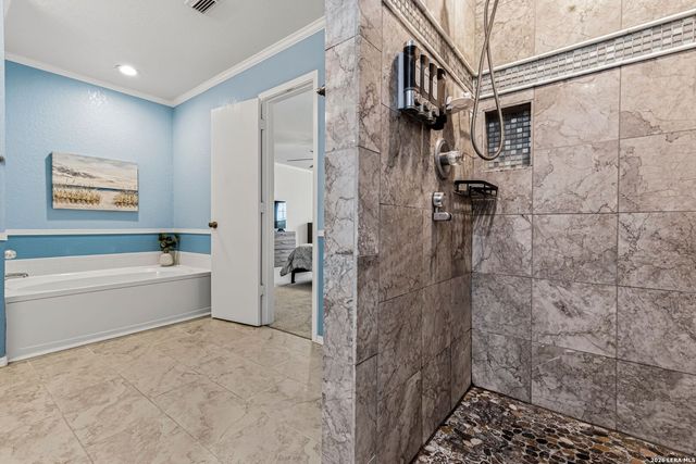 17174 Irongate Rail, San Antonio, TX 78247