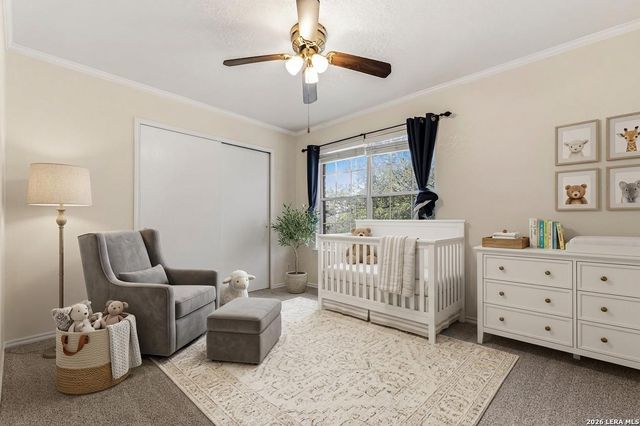 17174 Irongate Rail, San Antonio, TX 78247