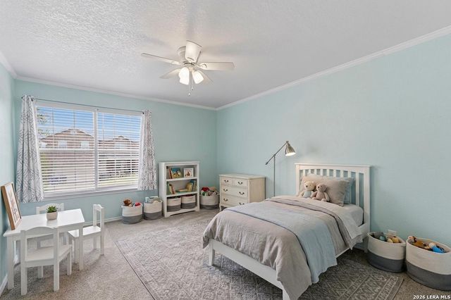 17174 Irongate Rail, San Antonio, TX 78247