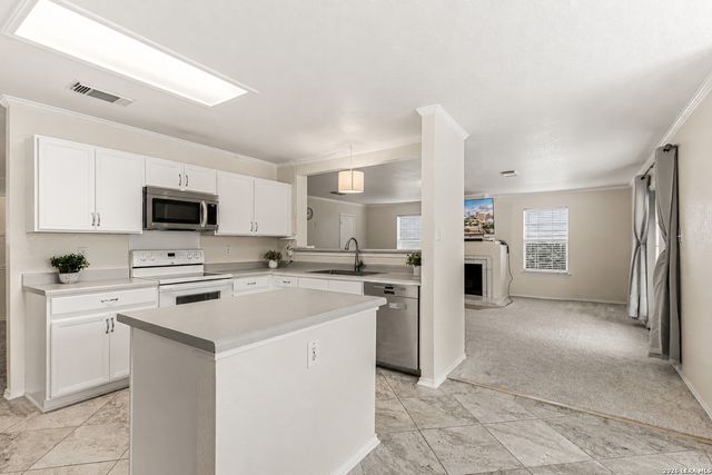 17174 Irongate Rail, San Antonio, TX 78247