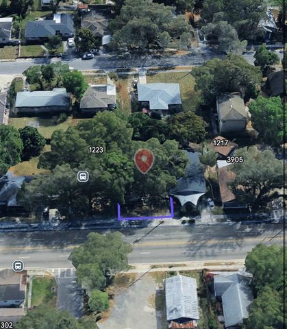 1221 E DR MARTIN LUTHER KING JR BOULEVARD, Tampa, FL 33603