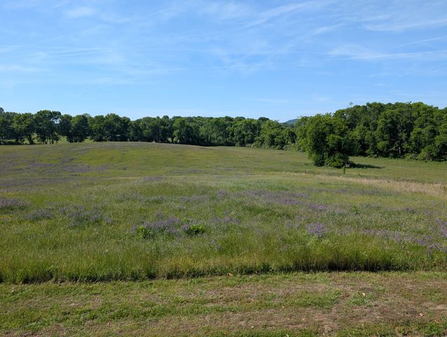 20 Riverbend Ln, Carthage, TN 37030