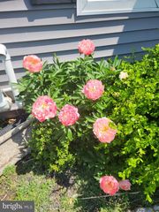952 CHESAPEAKE DR, Havre De Grace, MD 21078