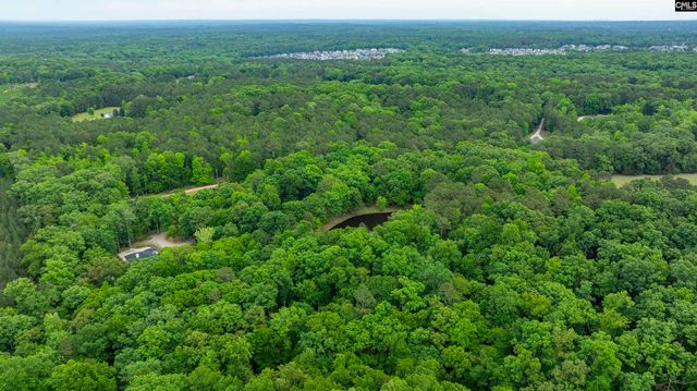 150 Four Foxes Lane, Chapin, SC 29036