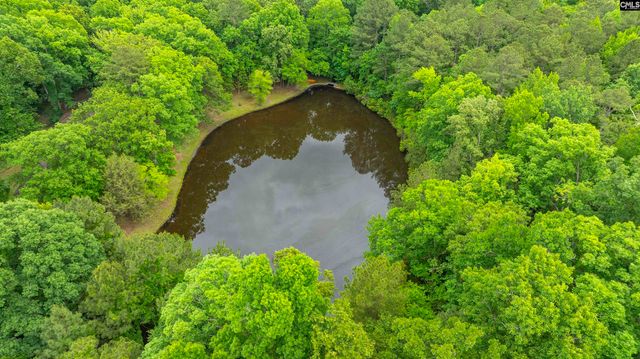 150 Four Foxes Lane, Chapin, SC 29036