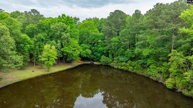 150 Four Foxes Lane, Chapin, SC 29036