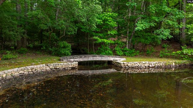 150 Four Foxes Lane, Chapin, SC 29036