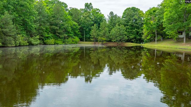150 Four Foxes Lane, Chapin, SC 29036