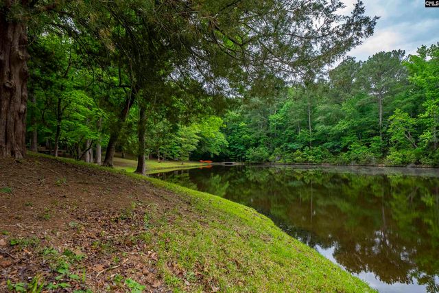 150 Four Foxes Lane, Chapin, SC 29036
