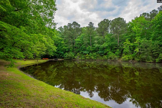 150 Four Foxes Lane, Chapin, SC 29036