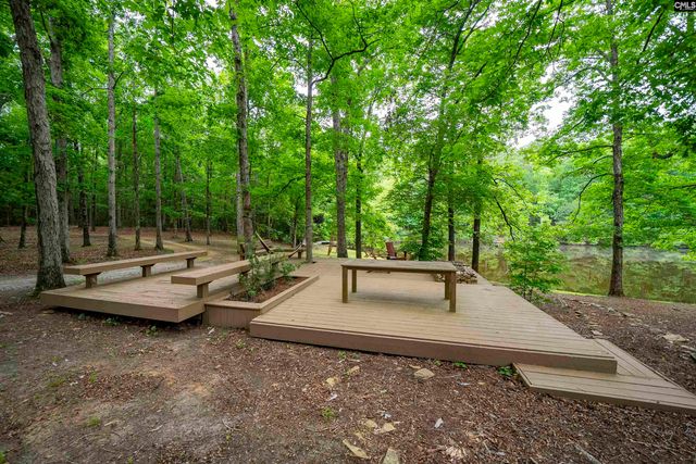 150 Four Foxes Lane, Chapin, SC 29036