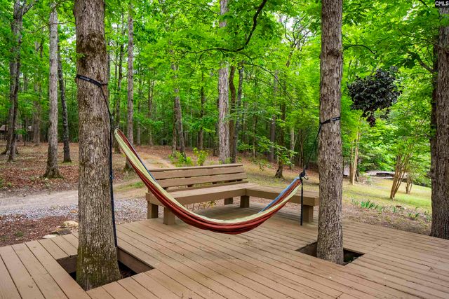 150 Four Foxes Lane, Chapin, SC 29036