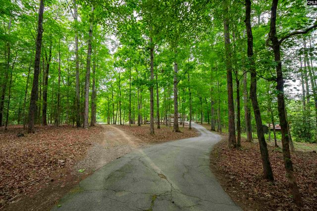 150 Four Foxes Lane, Chapin, SC 29036