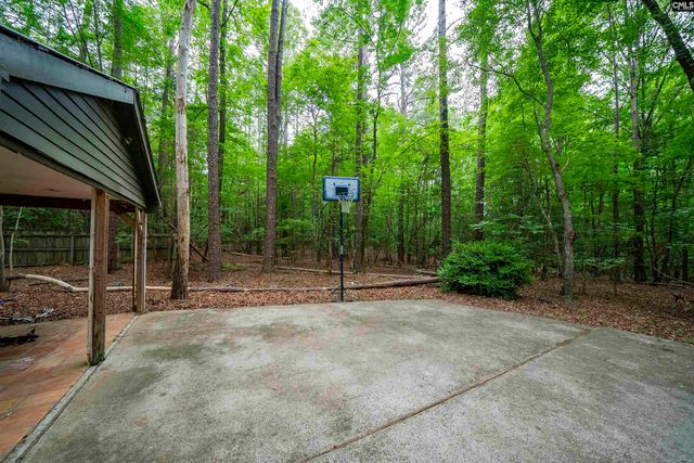 150 Four Foxes Lane, Chapin, SC 29036