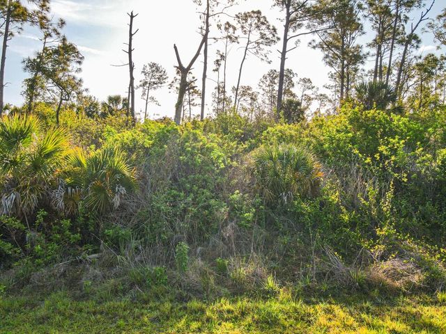 BLUELEAF DRIVE, North Port, FL 34288