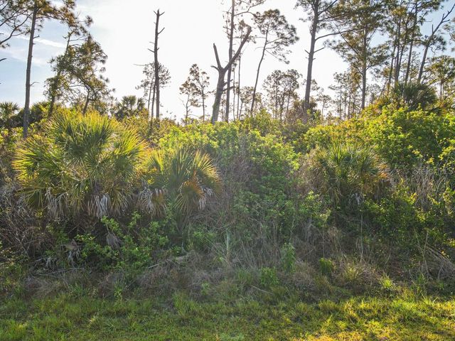 BLUELEAF DRIVE, North Port, FL 34288