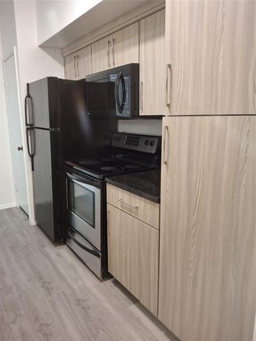2025 Augusta Drive 205, Houston, TX 77057