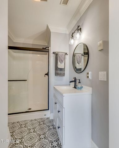 205 Rosehaven Court, Kingsport, TN 37663