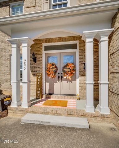 205 Rosehaven Court, Kingsport, TN 37663