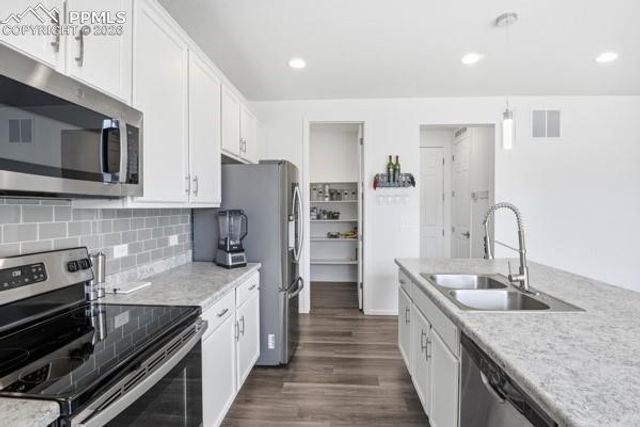 5366 Coltin Trail, Castle Rock, CO 80104