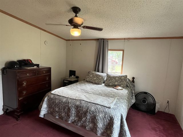 1172 N Greenville Road, Stanton, MI 48888