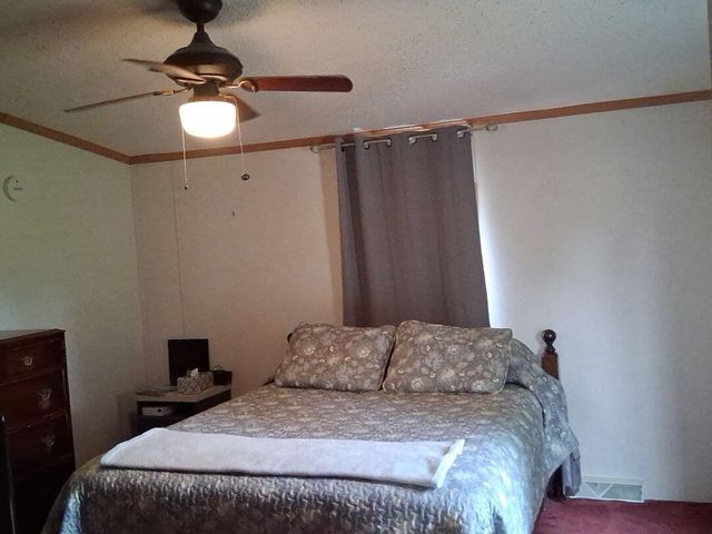 1172 N Greenville Road, Stanton, MI 48888