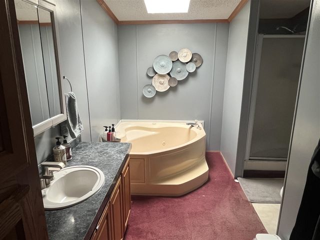 1172 N Greenville Road, Stanton, MI 48888