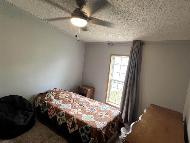 1172 N Greenville Road, Stanton, MI 48888
