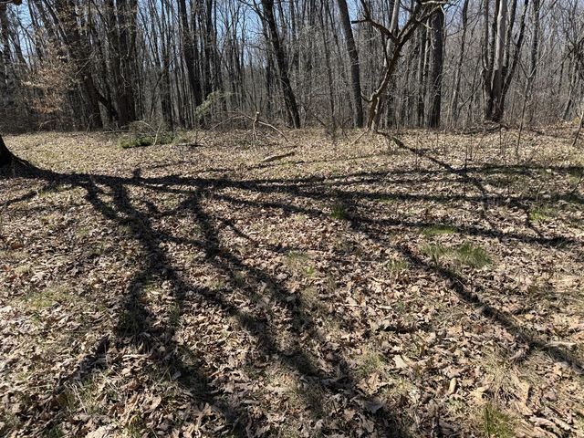 5084 Sandy Run Road, Sears, MI 49679