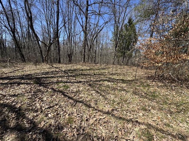 5084 Sandy Run Road, Sears, MI 49679