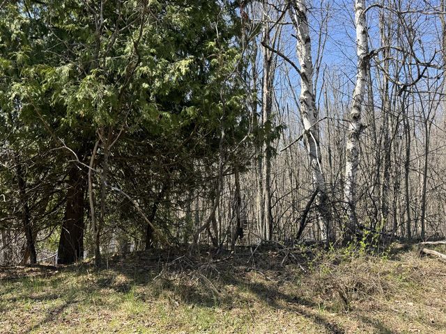 5084 Sandy Run Road, Sears, MI 49679