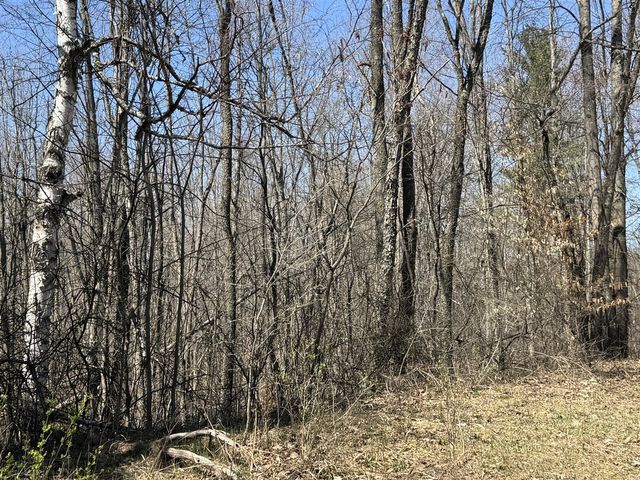5084 Sandy Run Road, Sears, MI 49679