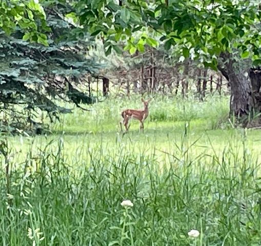 11256 S Lacore Road, Empire, MI 49630