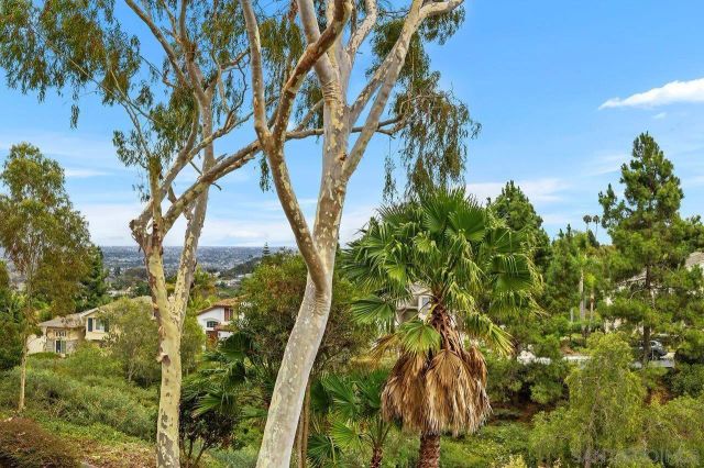 2509 Caminito Muirfield, La Jolla, CA 92037