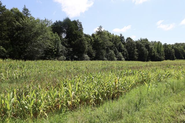 0 Hwy 69S, Paris, TN 38242