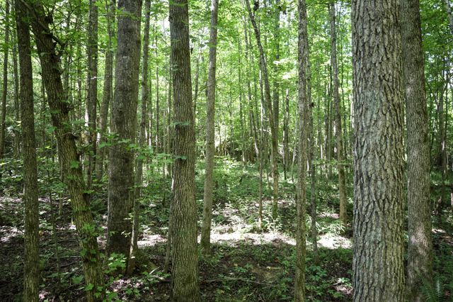 0 Hwy 69S, Paris, TN 38242