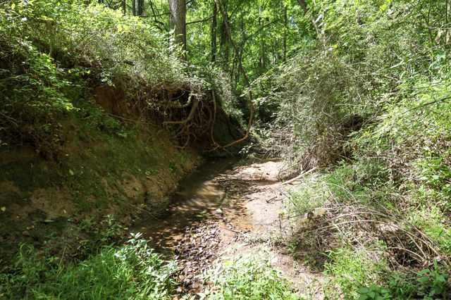 0 Hwy 69S, Paris, TN 38242